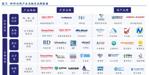 生命科學(xué)上游,科研產(chǎn)品圖譜 生物研發(fā)包羅萬象,國產(chǎn)化進(jìn)程加速