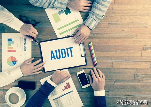 企業審計是什么