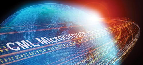 公司簡介 產(chǎn)品業(yè)務(wù) 發(fā)展歷程 icgoo元器件百科